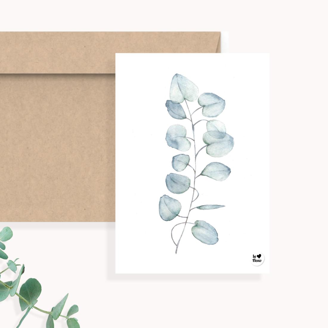 Eucalyptus 1