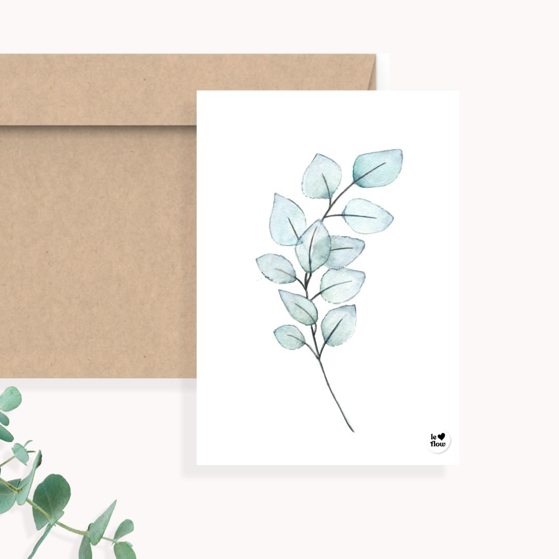 Eucalyptus 2