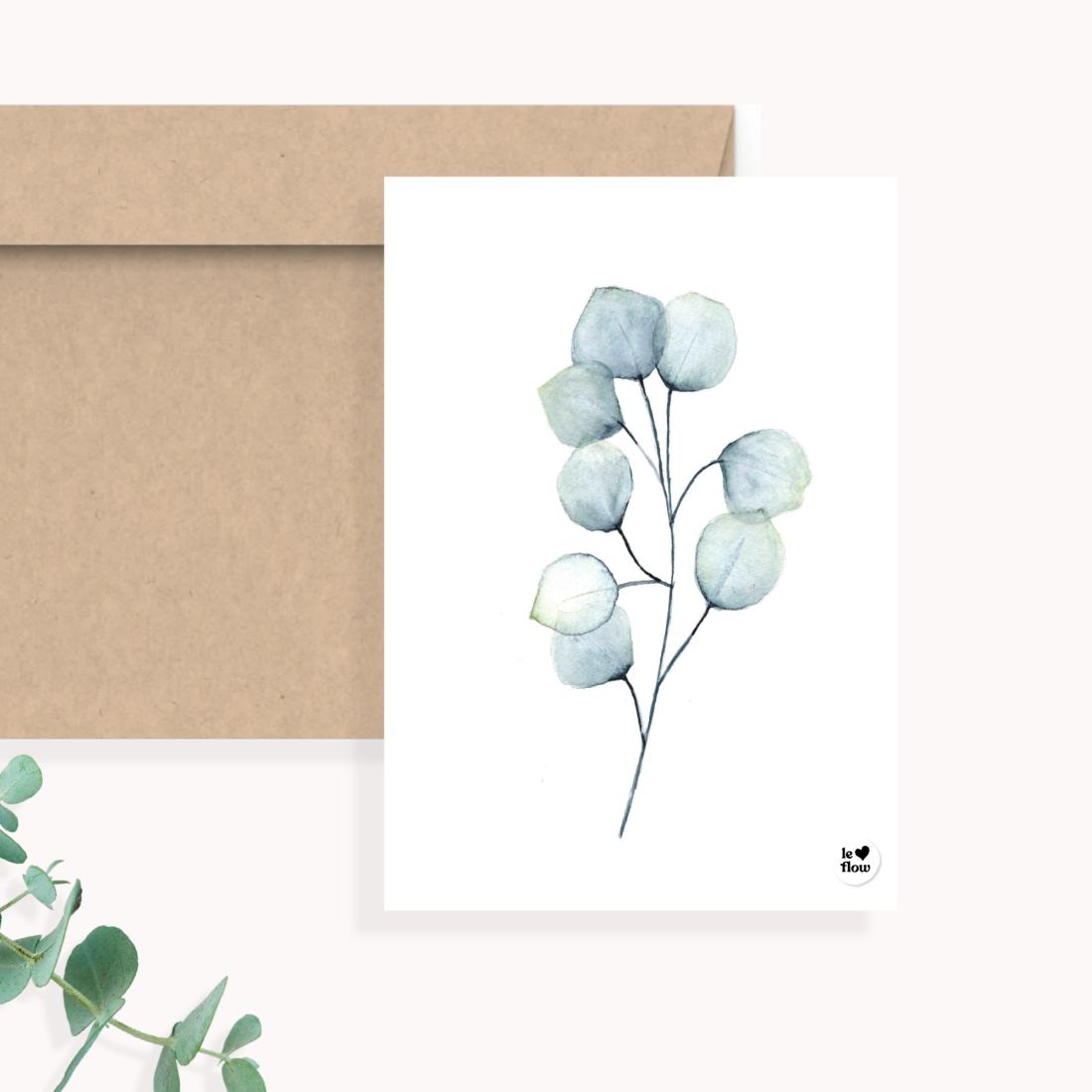 Eucalyptus 3