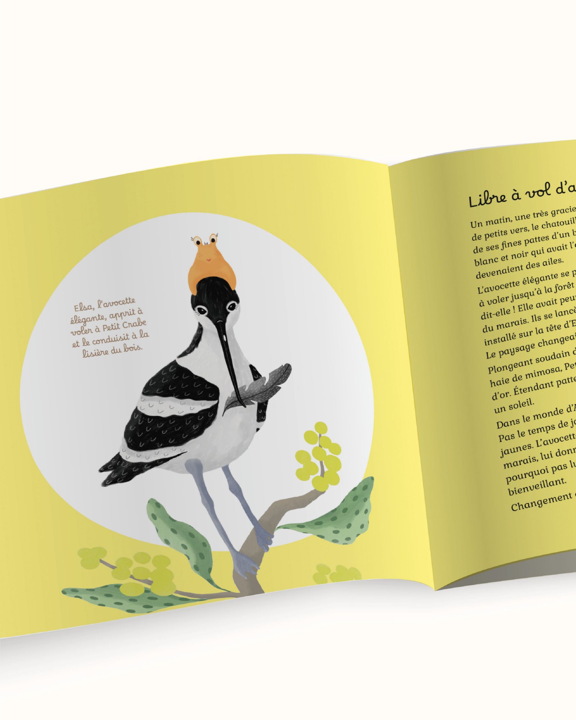 Mise en page d'un livre pour enfants