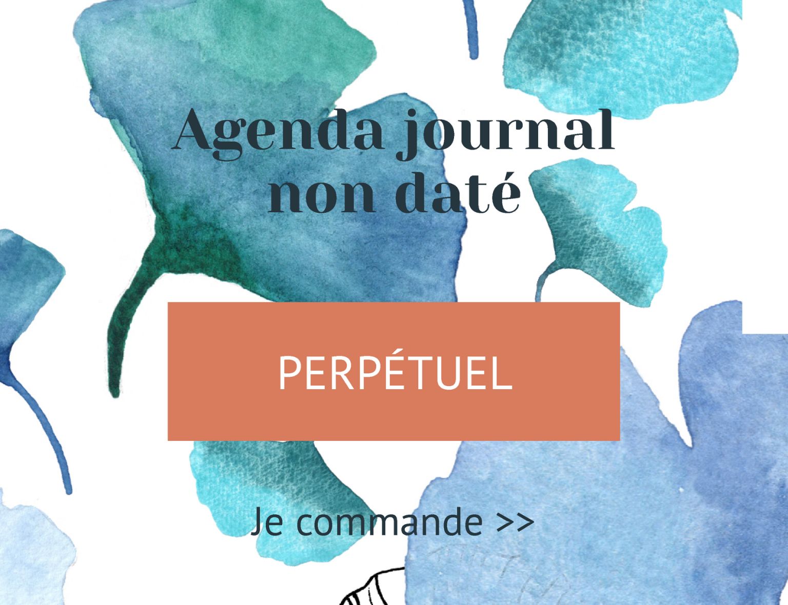 Les caractéristiques de ton Agenda journal “Go Planner”